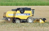 CNH/New Holland/Case